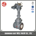 Lined gate valve